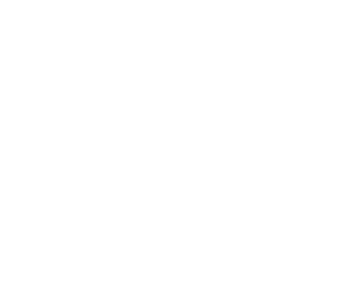 rezavexはITで社会に戦略的に挑む会社です